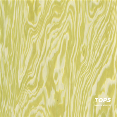 Serje tad-disinjatur tal-arkitettura tal-fuljetta tal-injam ta 'inġinerija premium